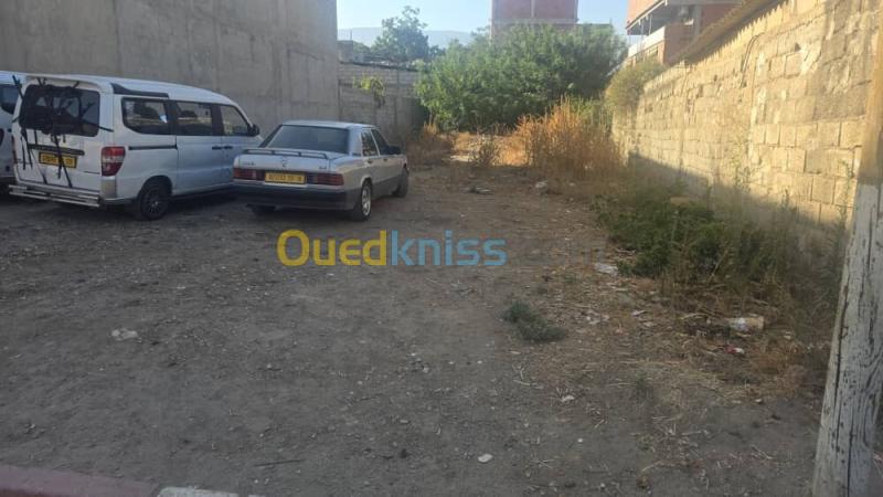 Vente Terrain Blida Guerrouaou 2