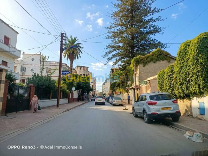 Location Local Annaba Annaba
