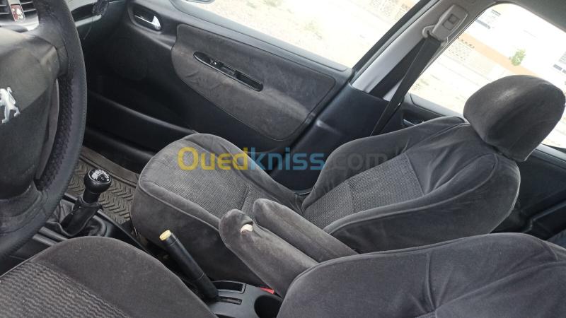Peugeot 207 2007 Sportium 9