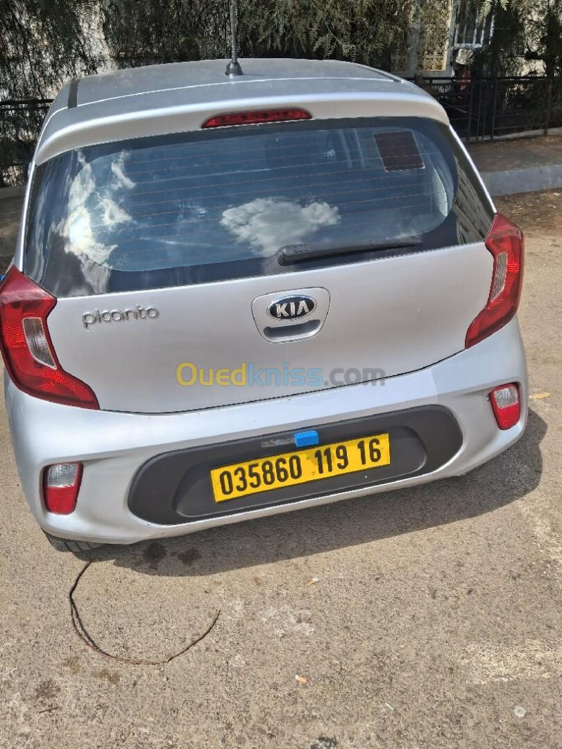 Kia Picanto 2019 EX 3