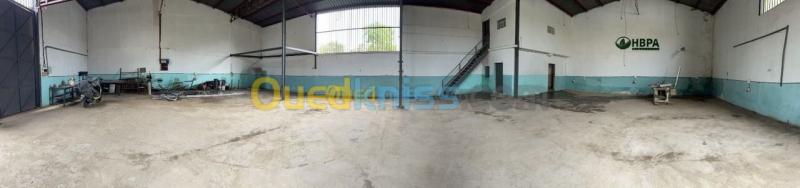 Location Hangar - Usine Alger Birtouta 3