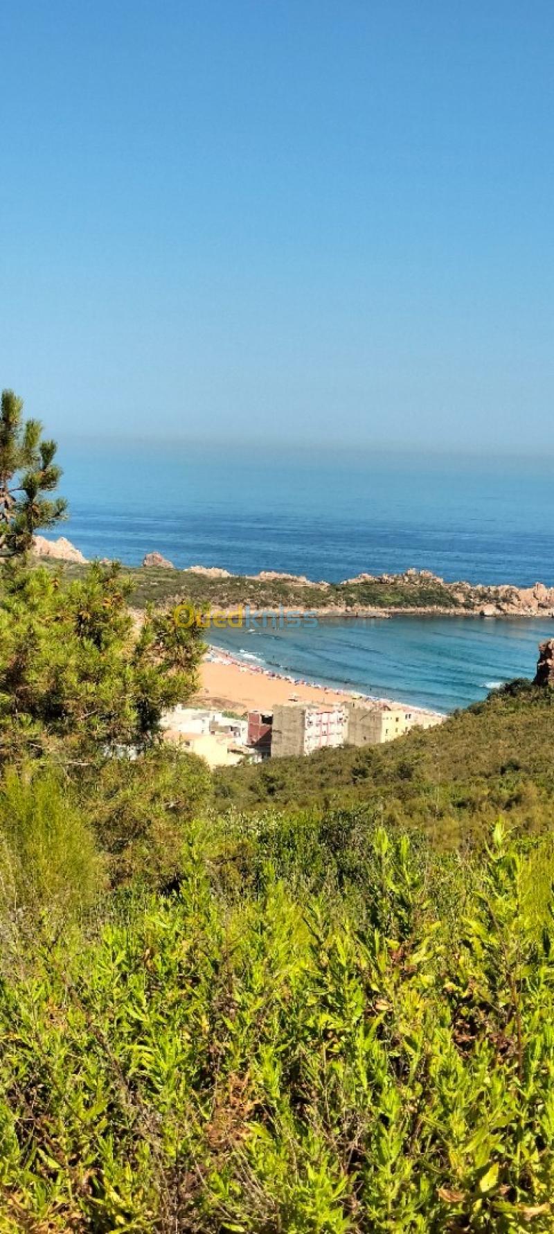 Vente Terrain Sétif El eulma 10
