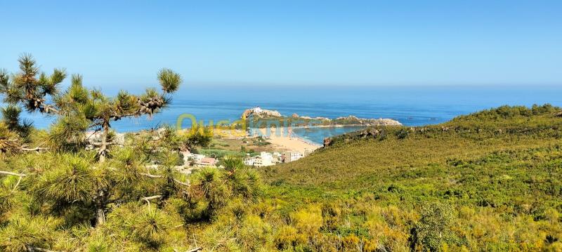 Vente Terrain Sétif El eulma 11