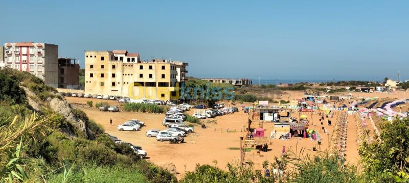 Vente Terrain Sétif El eulma 12