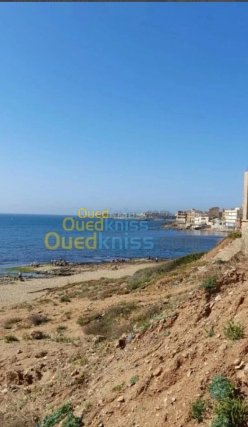Location Appartement Niveau de villa Studio Alger Ain benian 27