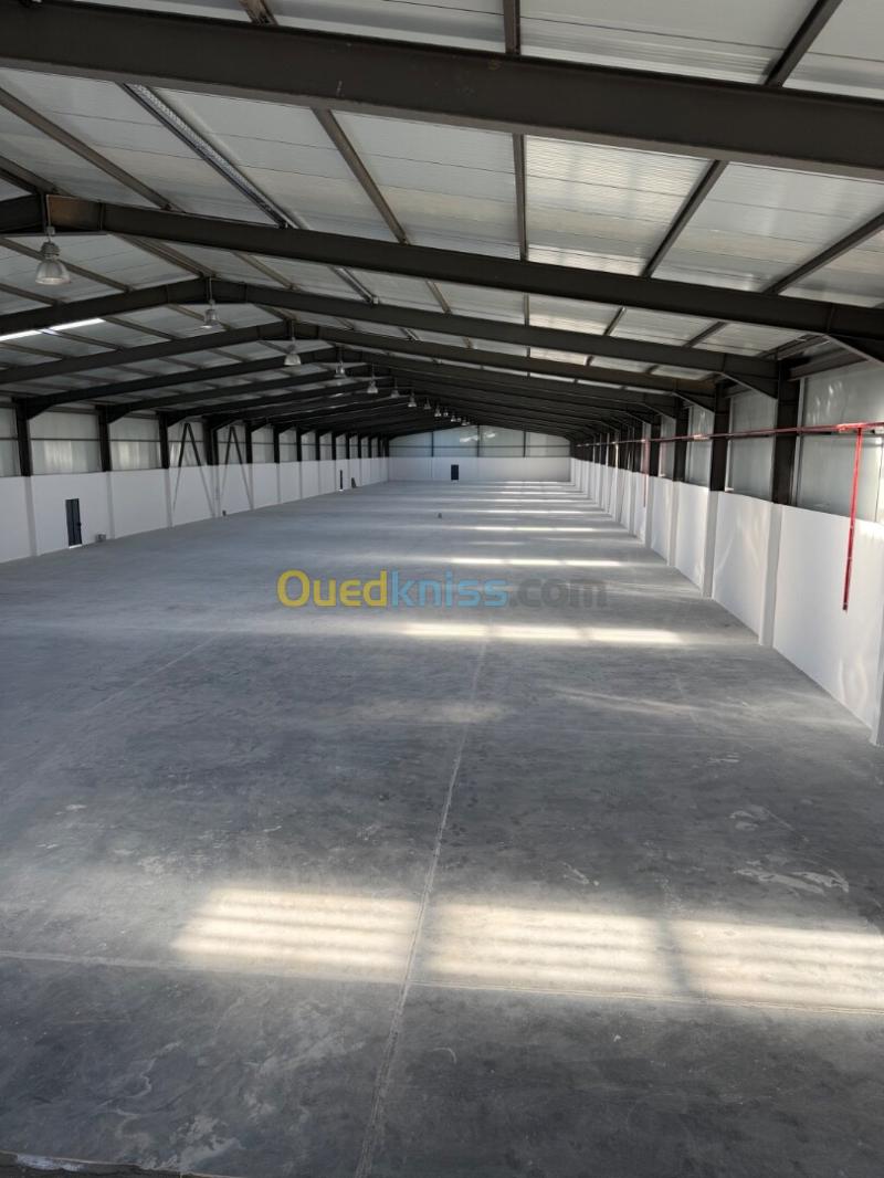 Location Hangar - Usine Sétif El eulma 7
