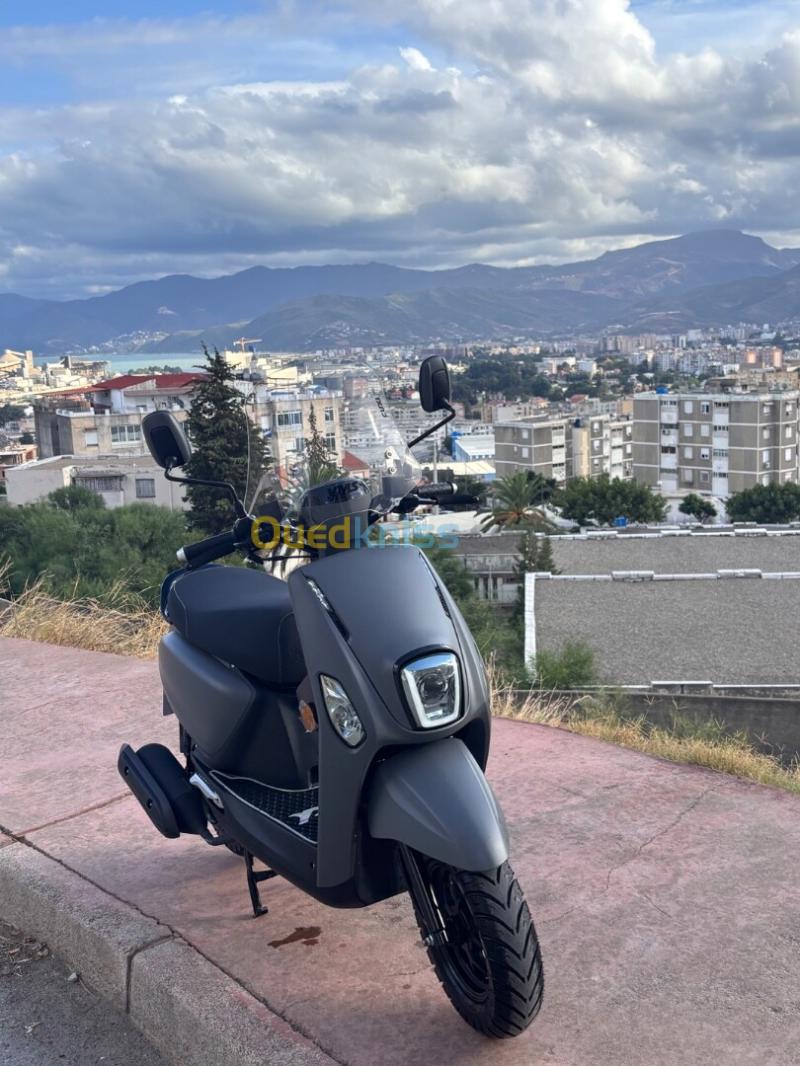 Vms Cuxi 3 2026