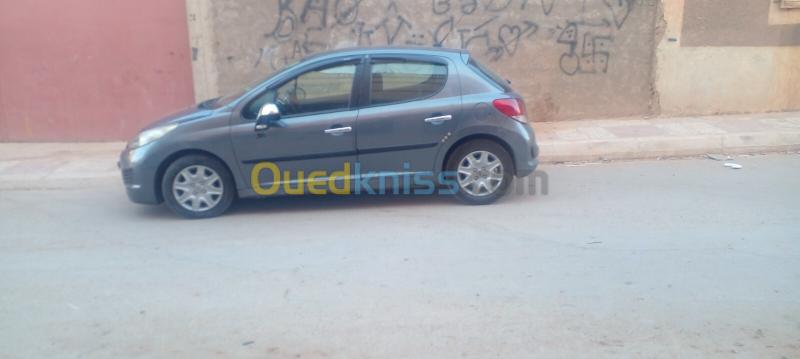 Peugeot 207 2010 Active 5