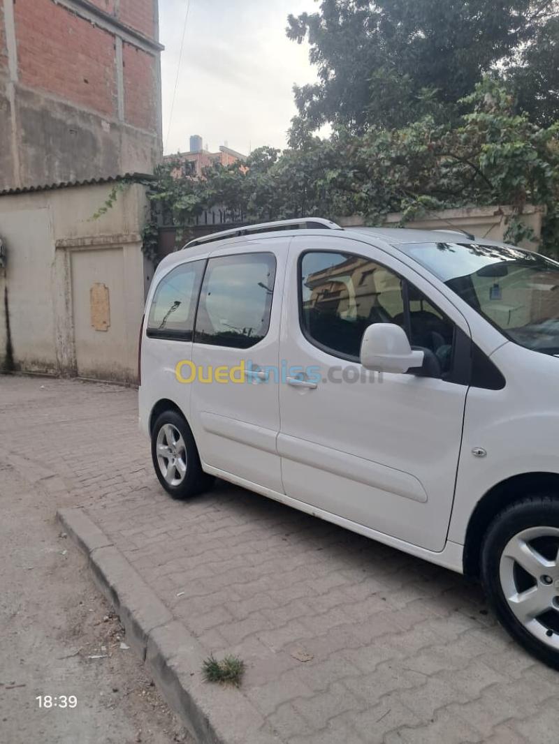 Peugeot Partner 2014 Tepee 2
