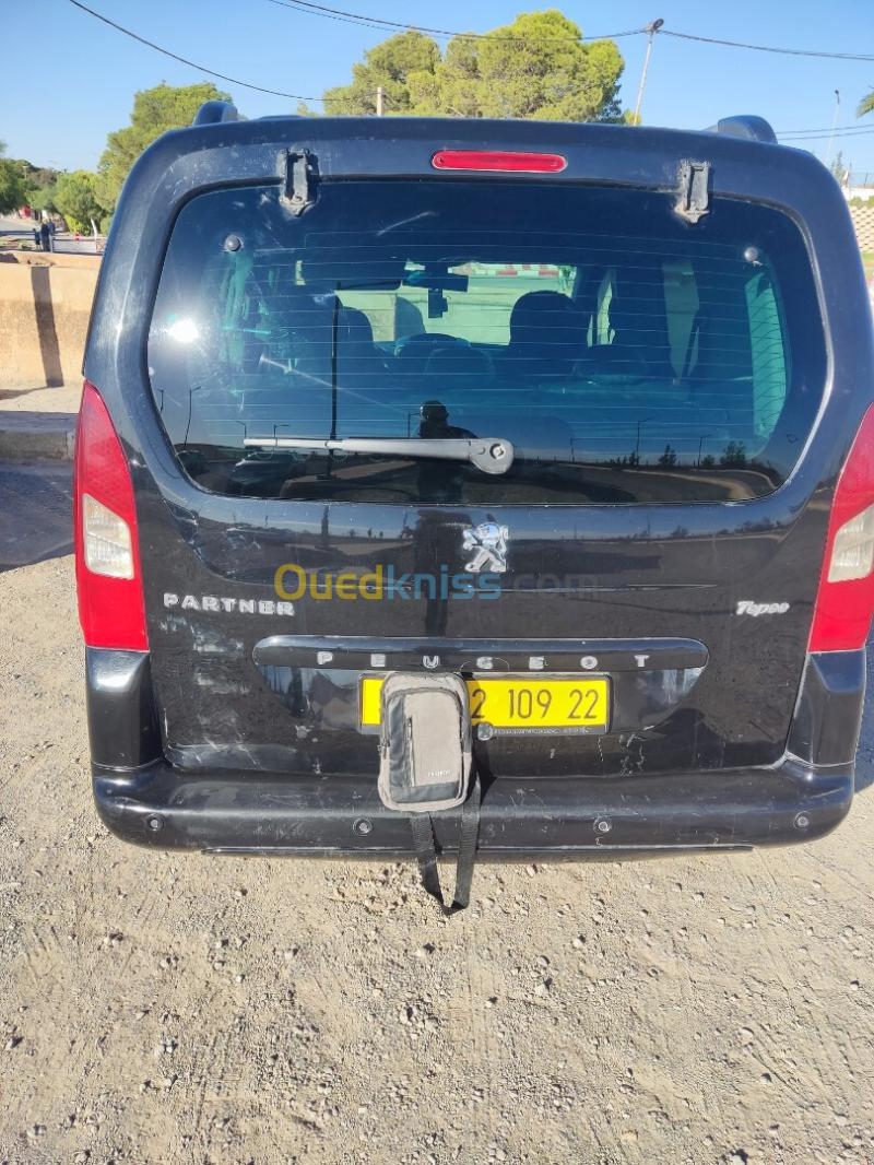 Peugeot Teppe 2009  2