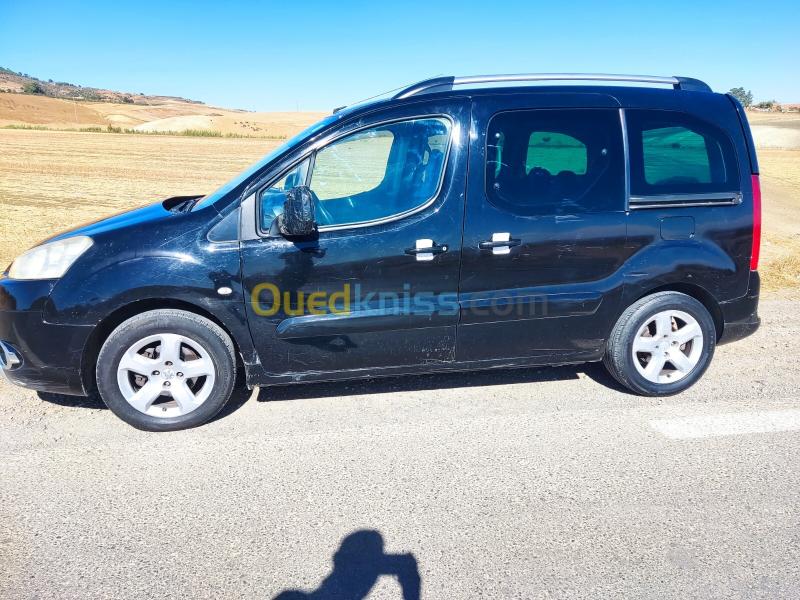 Peugeot Teppe 2009  11