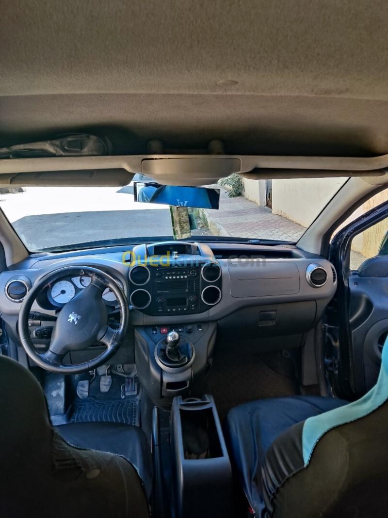 Peugeot Teppe 2009  13