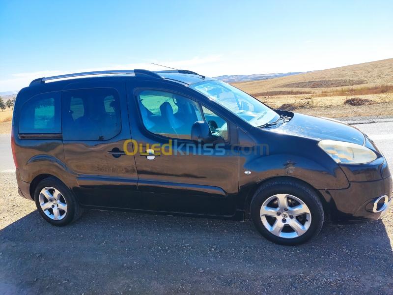 Peugeot Teppe 2009  10