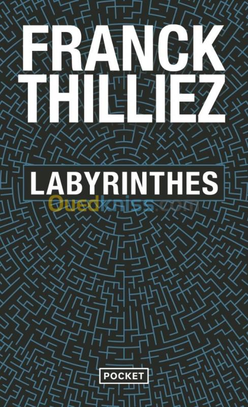  Labyrinthes / Livre, Thriller, Franck Thilliez