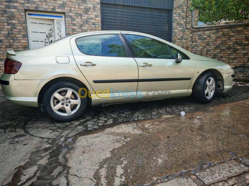 Peugeot 407 2004 407 8