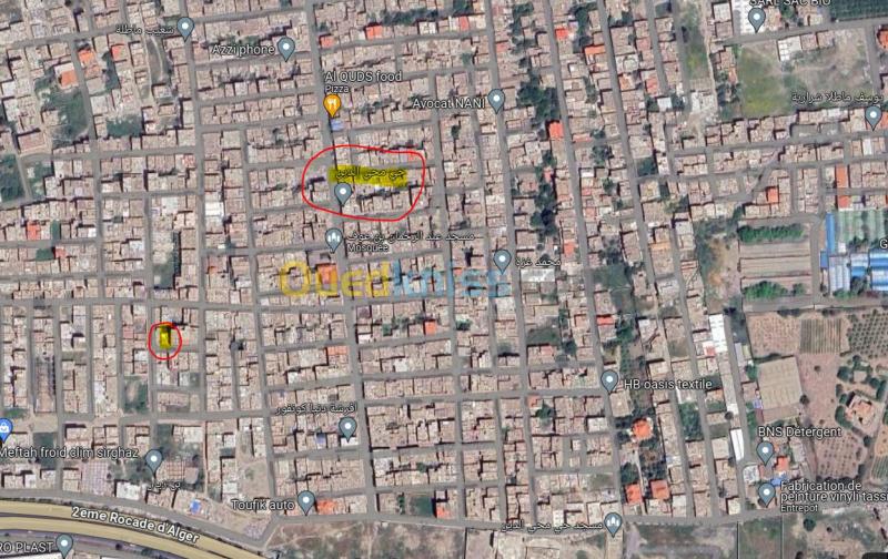 Vente Villa Alger Les eucalyptus 18