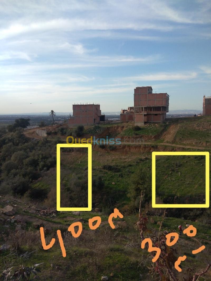 Location Terrain Blida Meftah