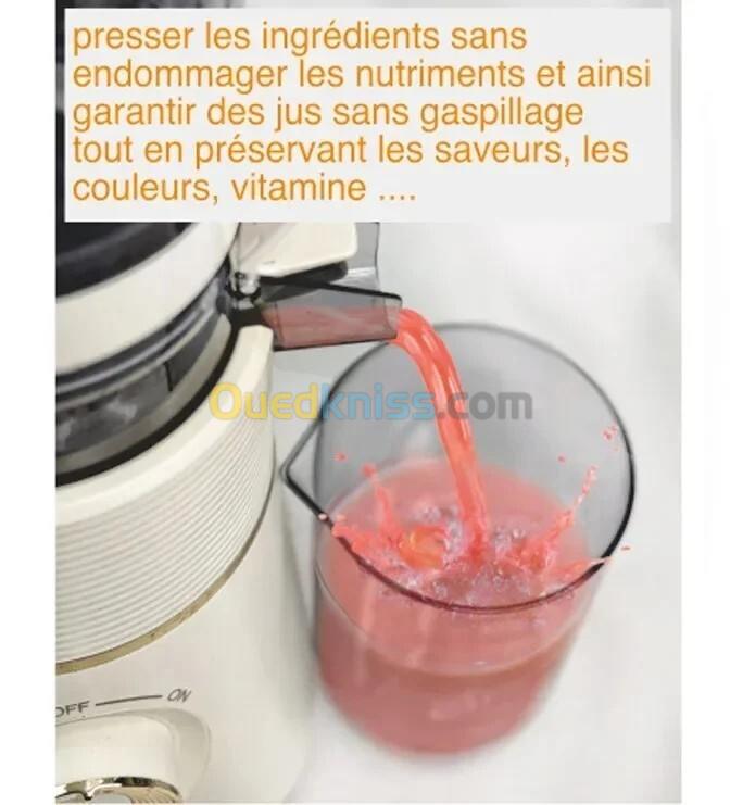 Extracteur de Jus Pressage à Froid 600 ml 100 W Robuste Bio Drink 4