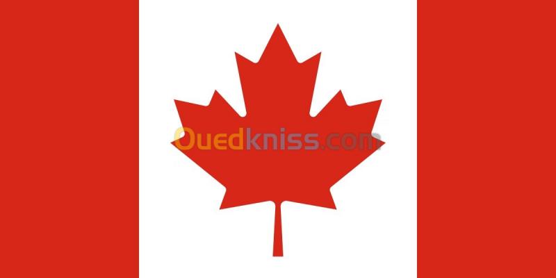  Visa Canada Conseils et Orientations Par des Professionnels