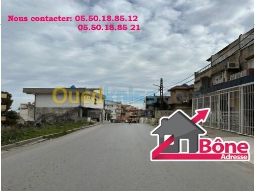Vente Appartement Niveau de villa F4 Annaba Annaba 3