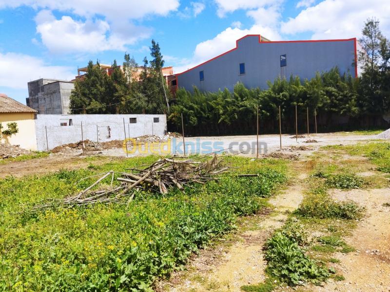  Sell Land Algiers Ouled chebel