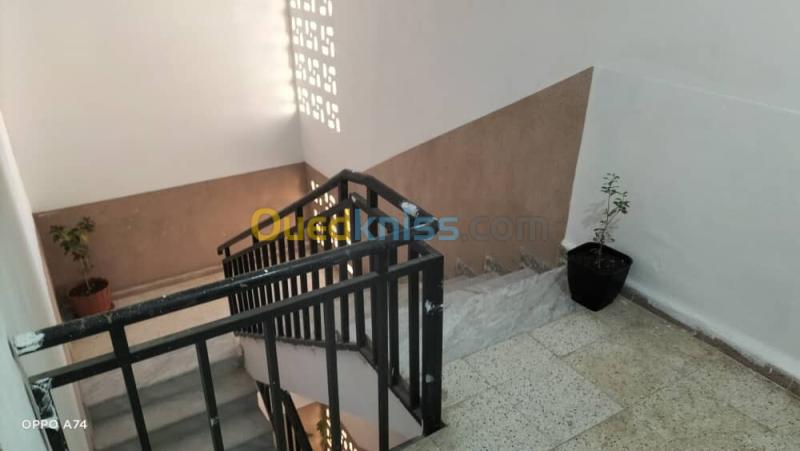 Vente Appartement F3 Bouira Bouira 15