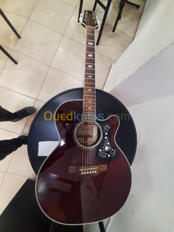  Guitare TAKAMINE GN75-CE WR