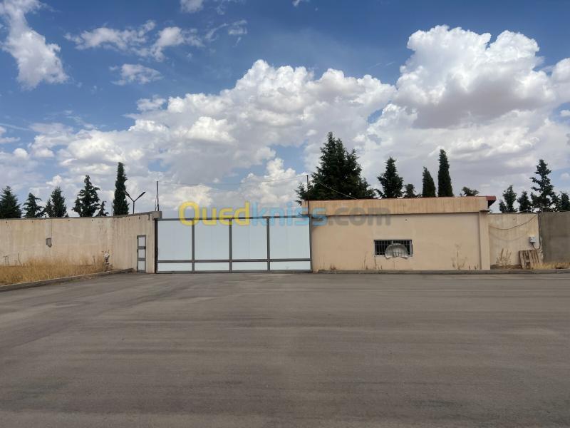 Location Hangar - Usine Sétif Mezloug 4