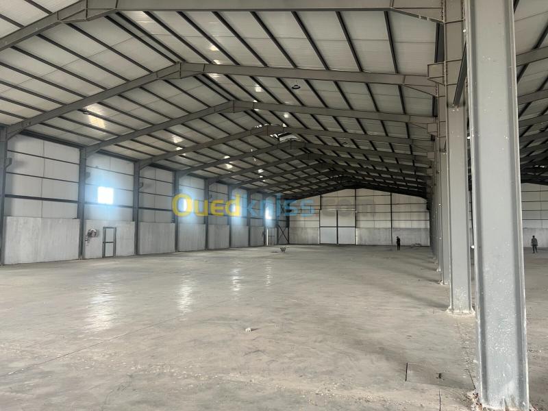 Location Hangar - Usine Sétif Mezloug 7