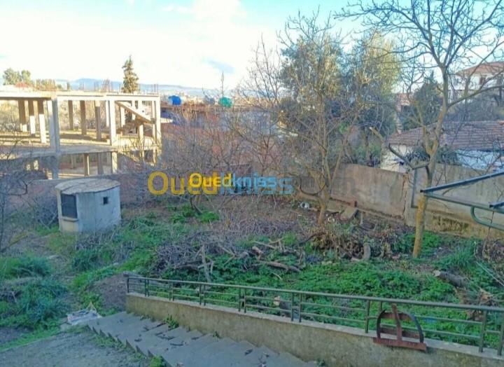 Vente Villa Médéa Medea 14