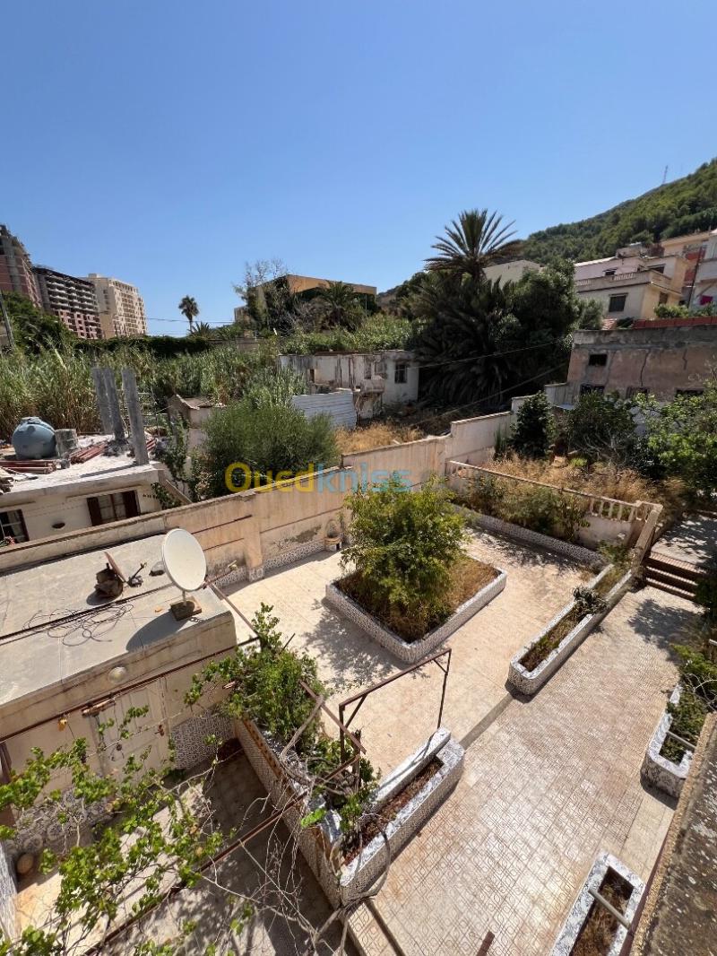 Vente Villa Alger Hammamet 17