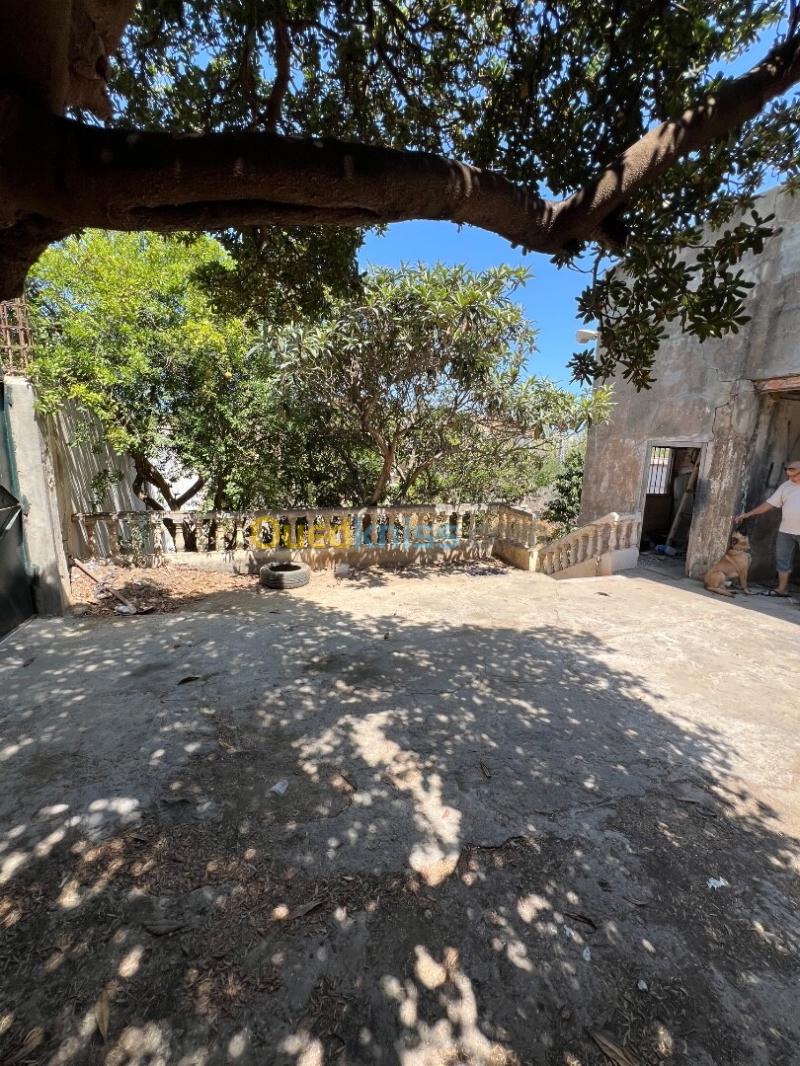 Vente Villa Alger Hammamet 14