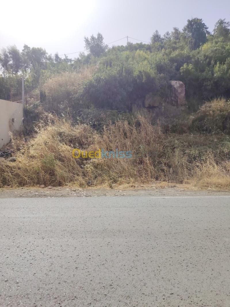 Vente Terrain Tizi Ouzou Tigzirt
