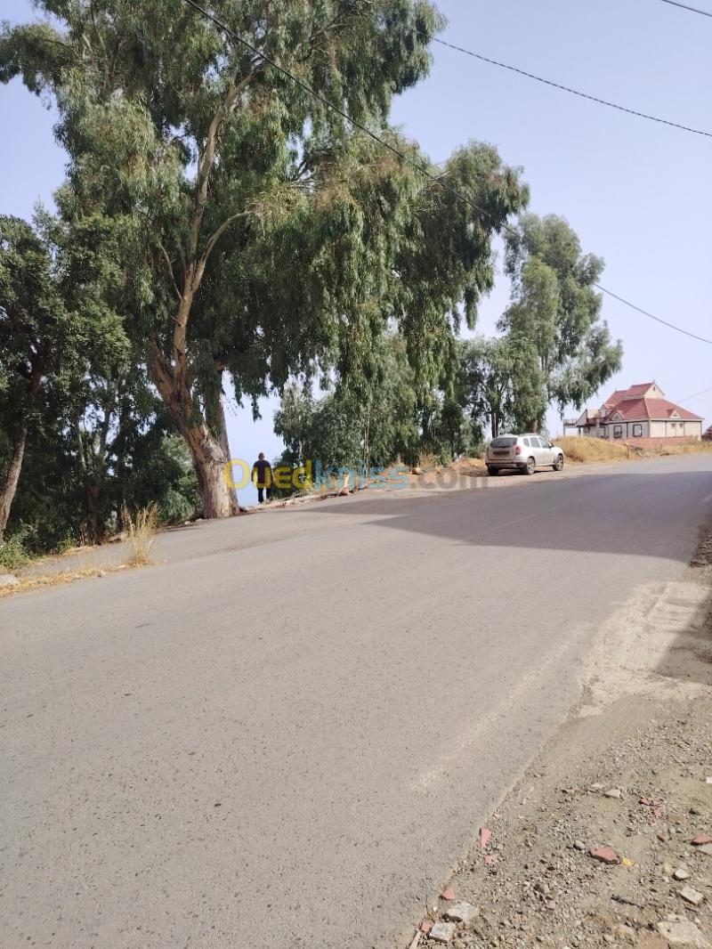 Vente Terrain Tizi Ouzou Tigzirt 8