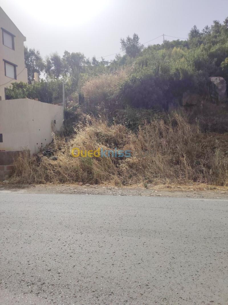 Vente Terrain Tizi Ouzou Tigzirt 3