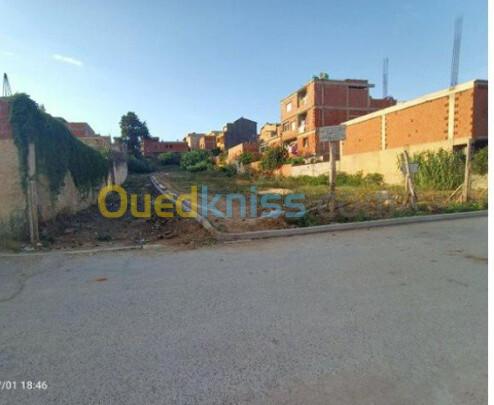 Vente Terrain Tipaza  5