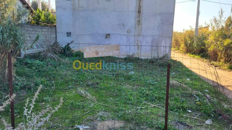 Vente Terrain Boumerdès Zemmouri 2