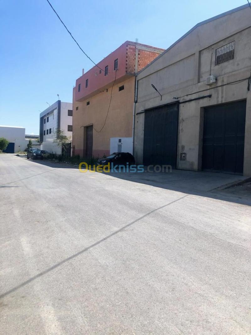 Vente Hangar - Usine Oran El Kerma 7