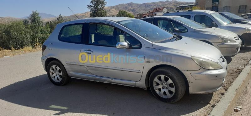Peugeot 307 2002 307 3
