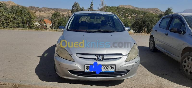 Peugeot 307 2002 307 2