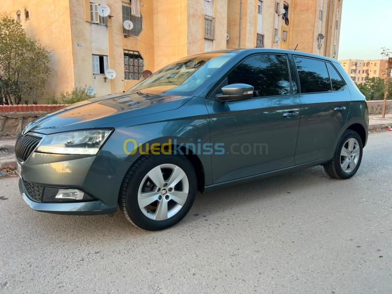Skoda Fabia 2019 Ambition 10