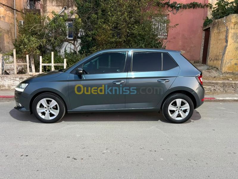 Skoda Fabia 2019 Ambition 14