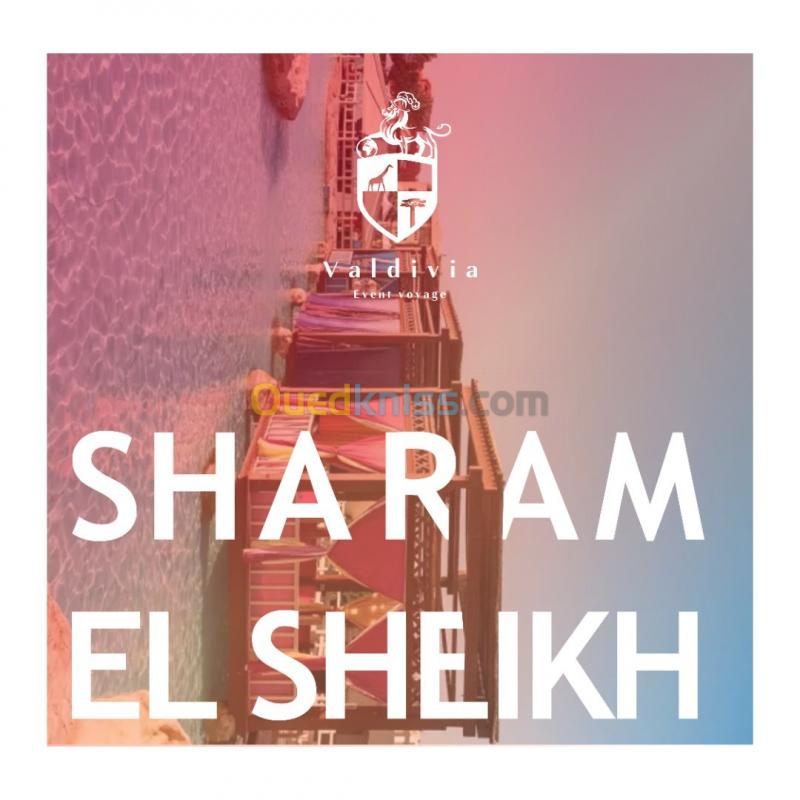  Sharm El Sheikh Juillet/Aout vol direct