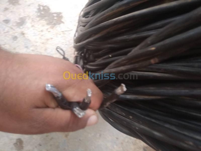  cable electricité 