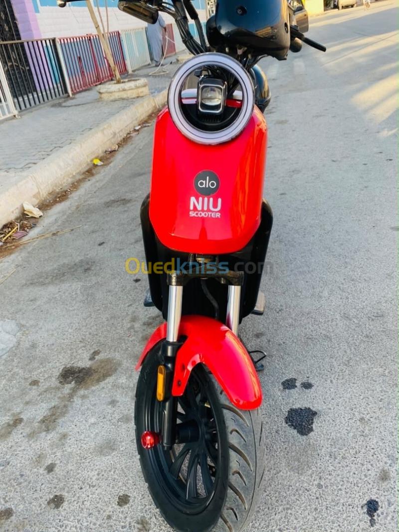Niu Alo 2025