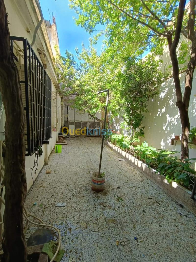 Vente Villa Sidi Bel Abbès Sidi bel abbes 5