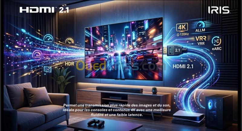 IRIS 55"M8020 4K MINILED GOOGLE TV 120HZ 3
