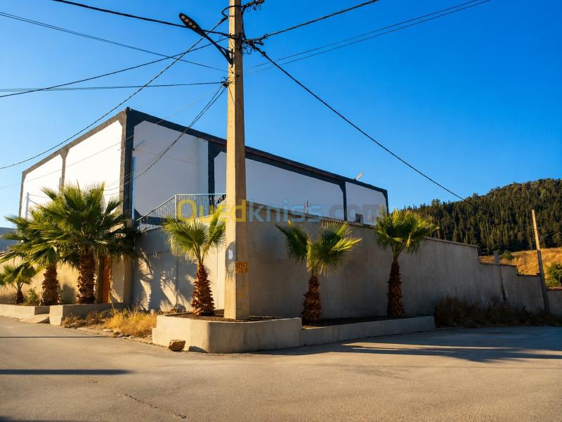 Location Hangar - Usine Constantine Zighoud youcef 7