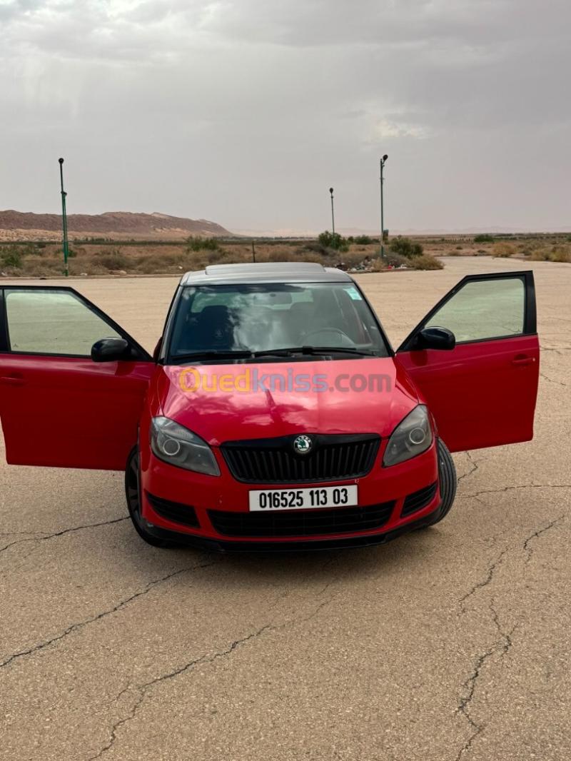 Skoda Fabia 2013 Monte Carlo 4
