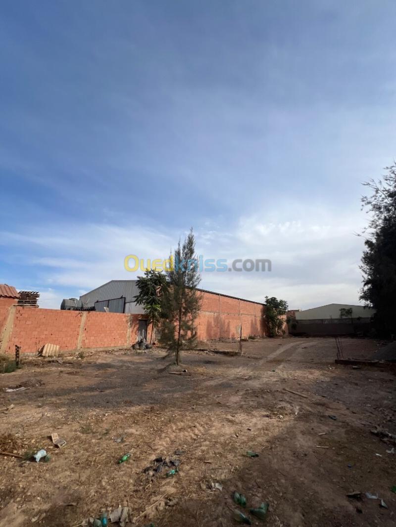 Location Terrain Sidi Bel Abbès Sidi bel abbes 2
